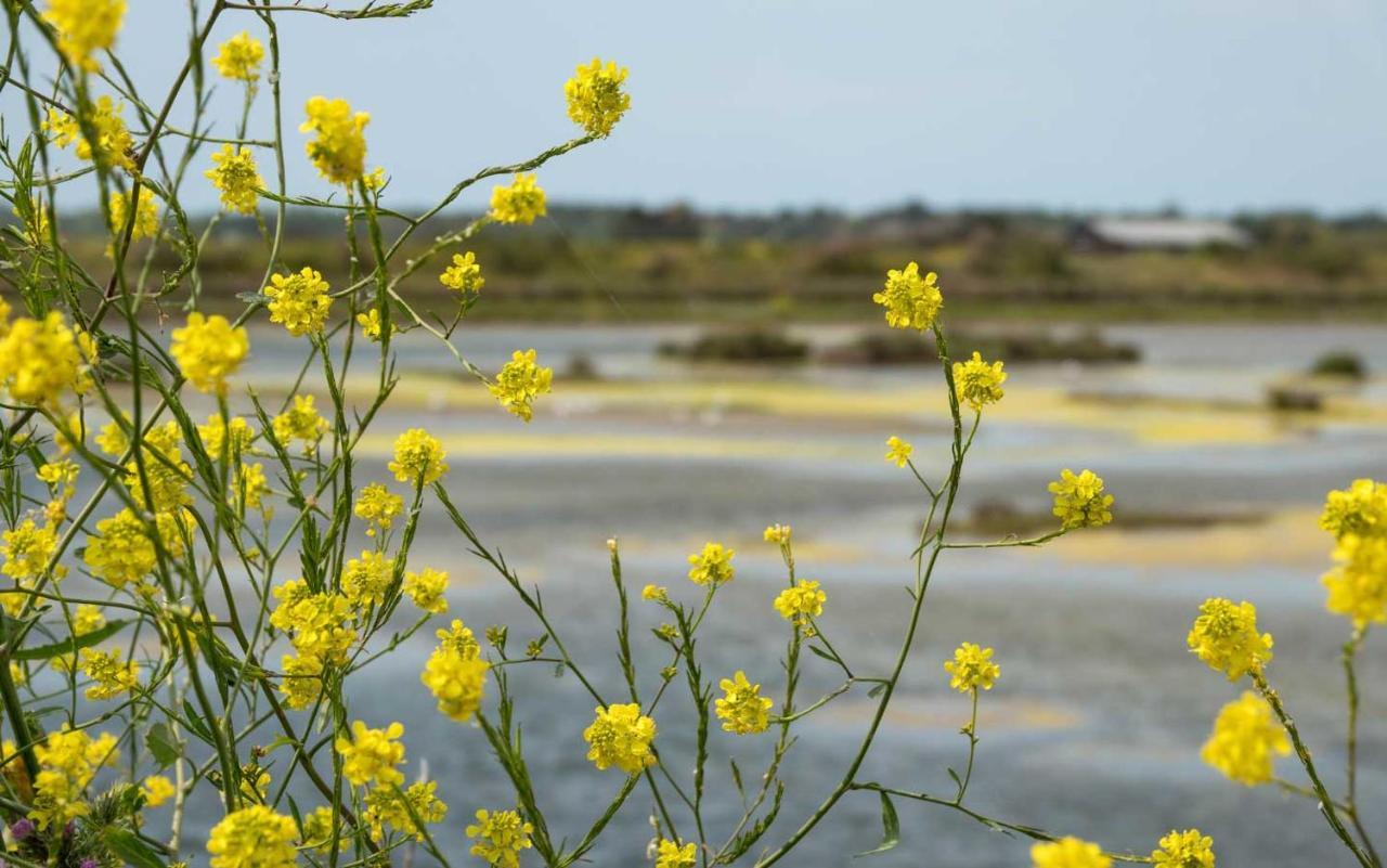 Camping Les Perouses Saint-Clément-des-Baleines Exteriér fotografie
